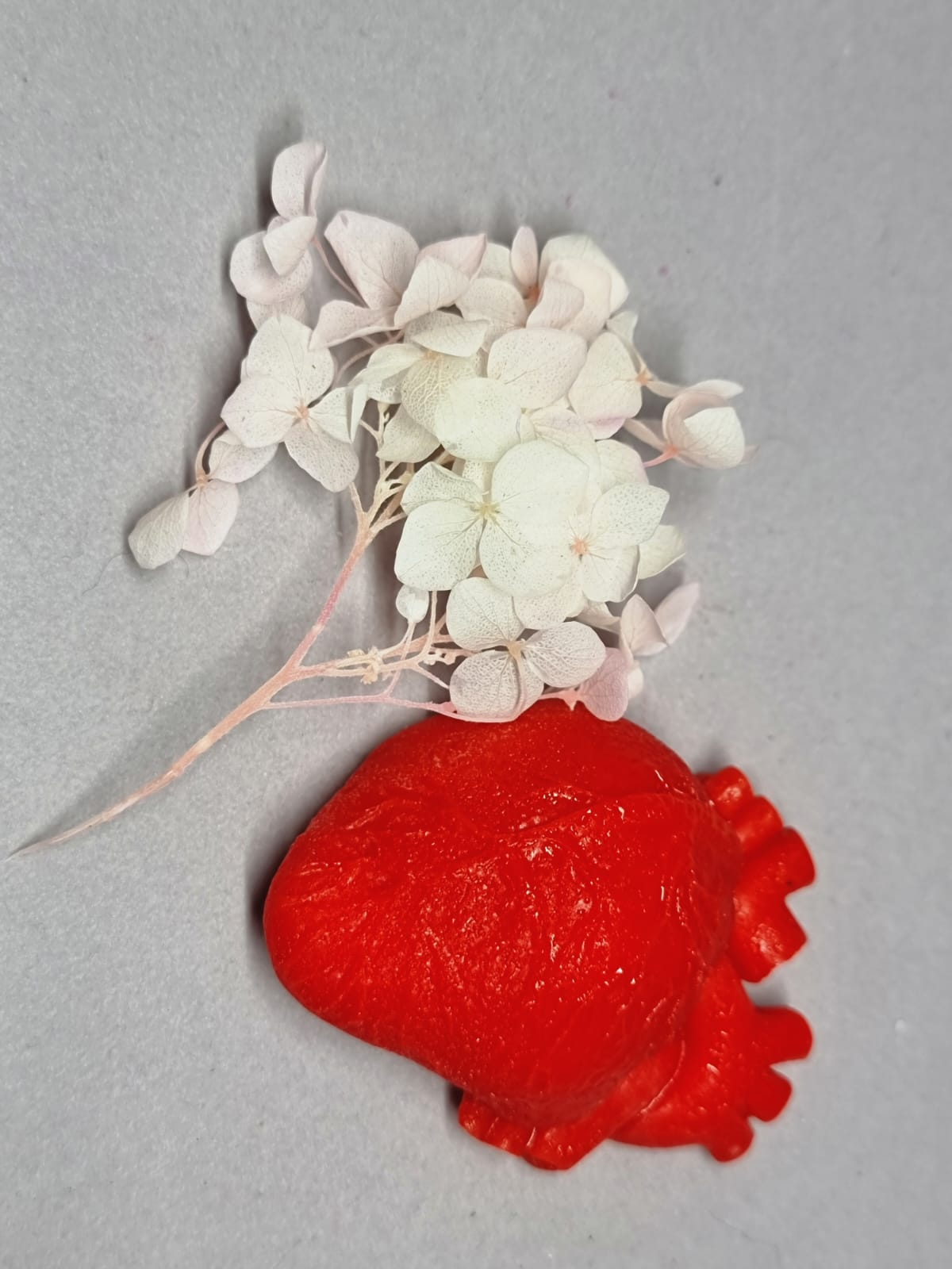 Anatomical ๐ซ heart